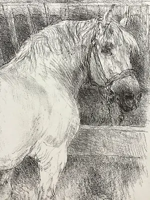 Piet Klaasse - Paarden, proefdrukken offsetlitho, 2-zijdig bedrukt, gesigneerd in druk kopen? Bied vanaf 20!