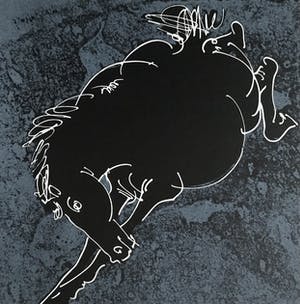 Hans Erni - Chevaux, 15 lithografieën, gesigneerd kopen? Bied vanaf 100!