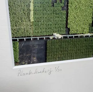 Karel J.A. Tomei - Plantenkwekerij 2/30 kopen? Bied vanaf 75!