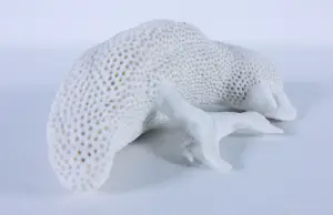 Kathja Smits - Porselein, Papegaai kopen? Bied vanaf 100!