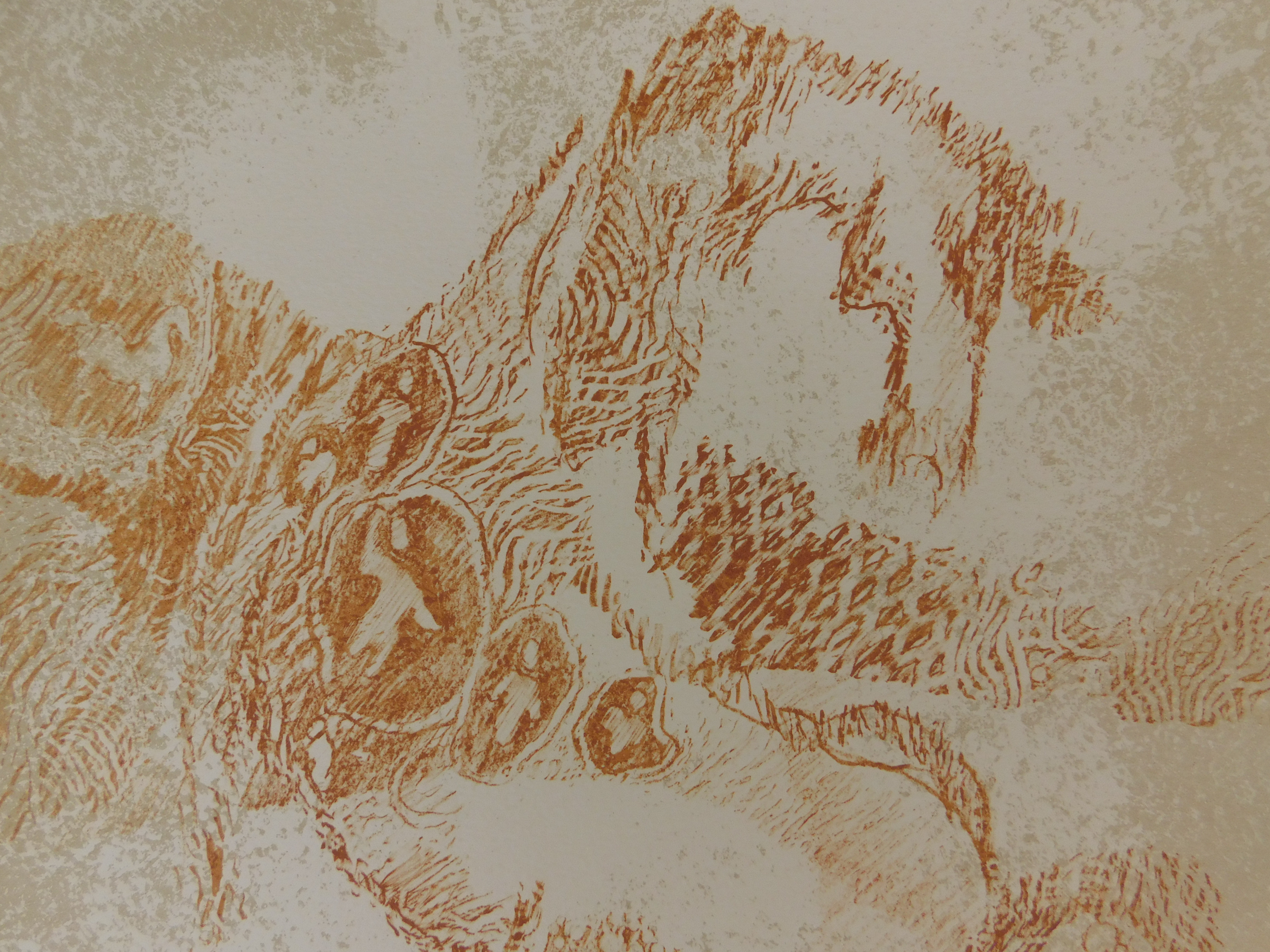 Dang Lebadang - Les Zèbres kopen? Bied vanaf 35!