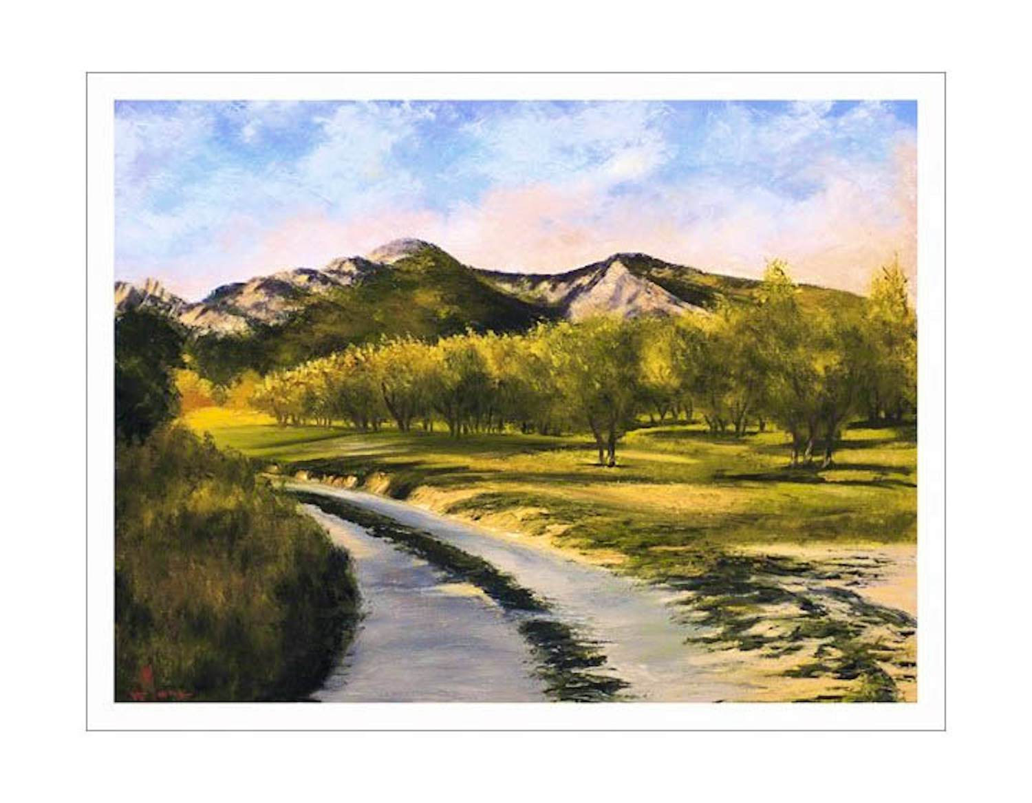 Jean-Jacques Marie - Oliviers en Provence au soleil couchant. Numérotée 2/85 et signée kopen? Bied vanaf 50!