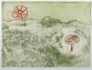 Jan Montyn - Kleurenets, Flowers of Joy - Ingelijst kopen? Bied vanaf 100!