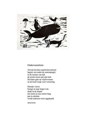 Michiel Brink - Onderwaterlente kopen? Bied vanaf 1!