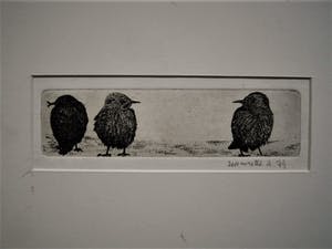 Niet of onleesbaar gesigneerd - Grafisch meesterwerkje - droge naald ETS "Musjes" gesigneerd en gedateerd kopen? Bied vanaf 1!
