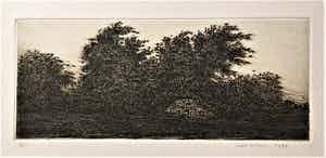 Simon Koene - Westerstorm verkocht voor € 35!