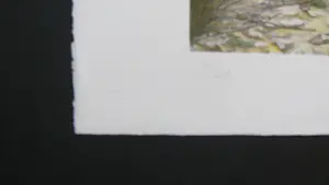 Hans-Jurgen Siegert - 'Het landschap zoals ik het ken', lithografie, EERSTE EXEMPLAAR! kopen? Bied vanaf 25!