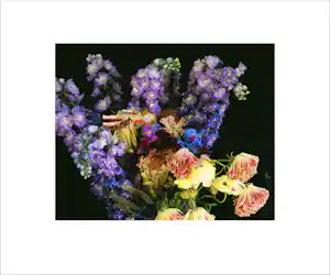 Nobuyoshi Araki - Monstrous Paradise Nr.034 (S) vendu pour 450€ !