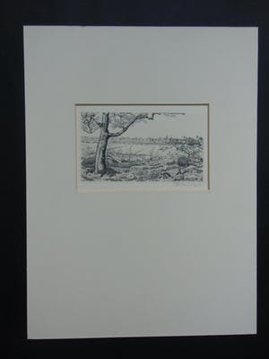 Engelien Reitsma-Valenca - GEZICHT OP ELSPEET kopen? Bied vanaf 25!