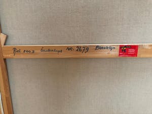 Piet van Riel - Breuklijn kopen? Bied vanaf 100!