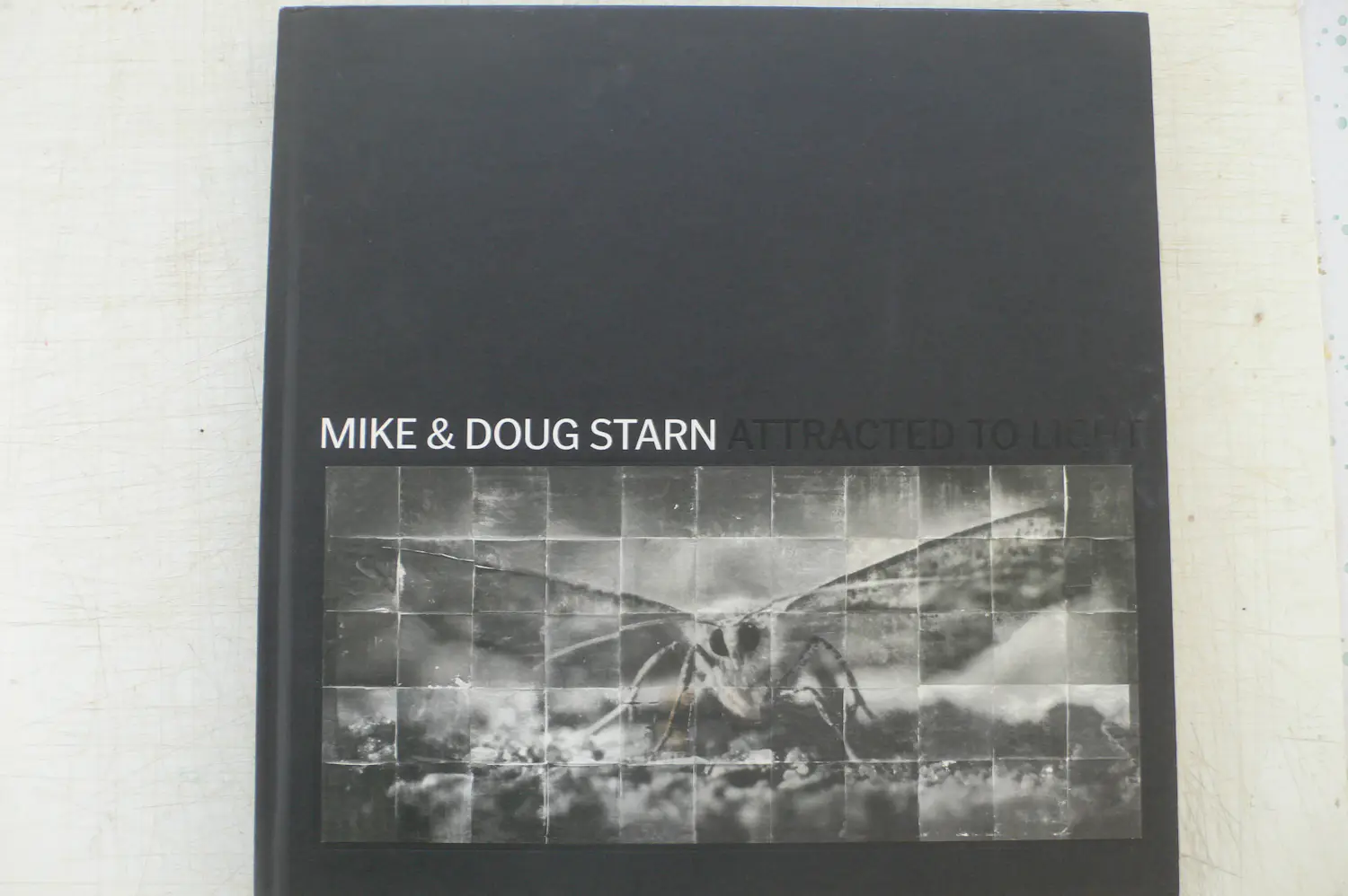 Mike & Doug Starn (1961)