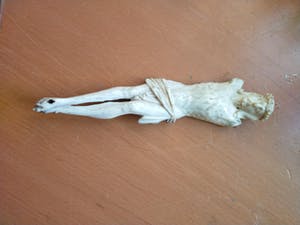 Curiosa - Corpus Christus - been of ivoor (-) kopen? Bied vanaf 1!