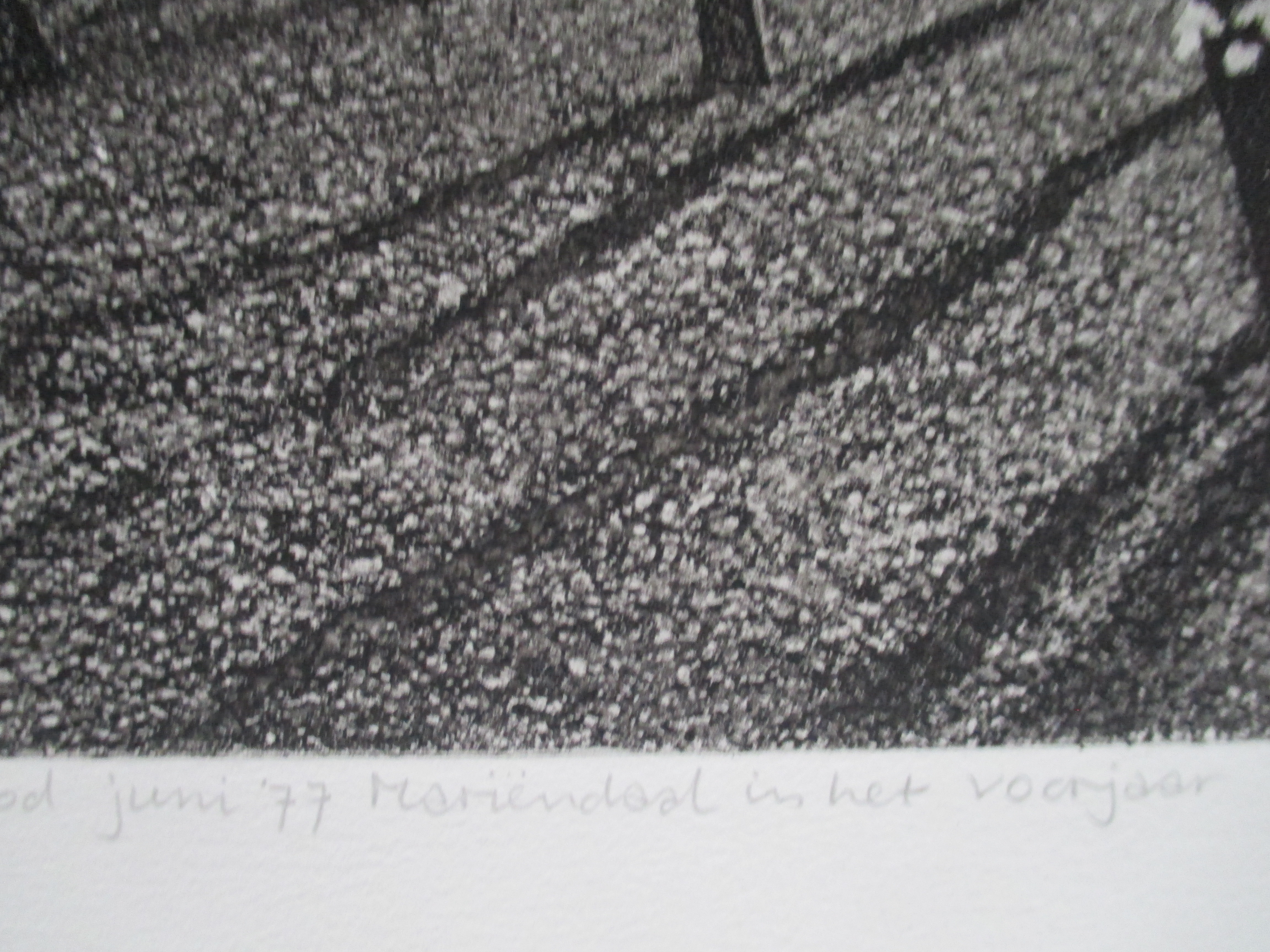 Paulien Wittenrood - Ets "Mariëndaal in het voorjaar" 1977 kopen? Bied vanaf 55!