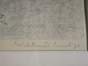 Dirkje Kuik - Ingelijste litho "studie voor een wilg" kopen? Bied vanaf 1!