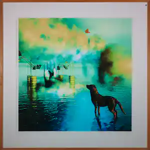 Arturo - Zeefdruk, Vlinder - Ingelijst verkocht voor € 43!