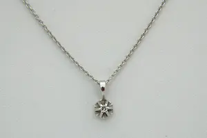 Acheter79 - Sierlijk 14 Krt wit-gouden collier met een diamanten solitair hanger(tje)? Enchérissez de 170!