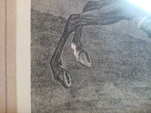 Johann Elias Ridinger - Die parade im Schritt links - Gravure kopen? Bied vanaf 49!