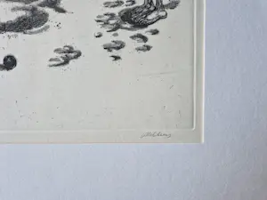 Hans van Helden - grote karikaturale Ets/aquatint "strandgenoegens" - zeer kleine oplage (10) kopen? Bied vanaf 34!