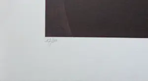 Jef van Tuerenhout - HALFNAAKTE VROUW / KLEURZEEFDRUK / 80x60cm / SIG kopen? Bied vanaf 95!