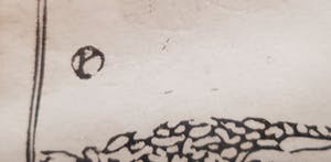 Cees Bolding - Kuiken kopen? Bied vanaf 75!