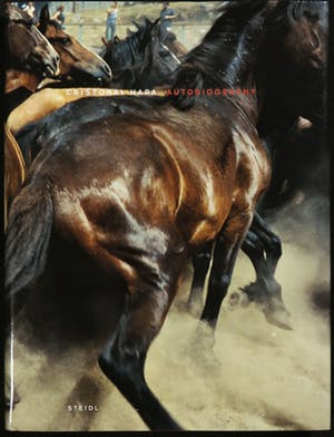 Cristobal Hara - C-Print op aluminium, Zonder titel - Ingelijst (Groot) kopen? Bied vanaf 1!