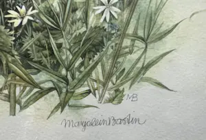 Marjolein Bastin - Zwartkoppen kopen? Bied vanaf 90!