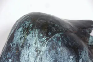 Kiny Copinga - Groot en zwaar bronzen beeld, Mestkever kopen? Bied vanaf 1000!