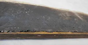 Willy van Blokland - geen titel kopen? Bied vanaf 25!