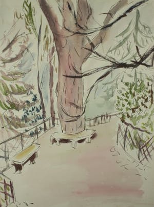 Hans Ittmann - Grote boom in park kopen? Bied vanaf 95!