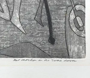 Harry van Kruiningen - Het masker en de rode dood, kleurenets kopen? Bied vanaf 150!