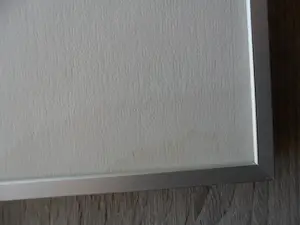 Michel van Overbeeke - Ets. Titel, "House Cat". Uit 1987 kopen? Bied vanaf 40!