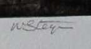 Wim Steijn - Ets/Droge Naald: Bosrand kopen? Bied vanaf 40!