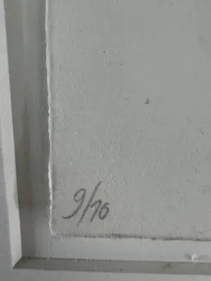 Yke Schotten - de hoepel kopen? Bied vanaf 10!