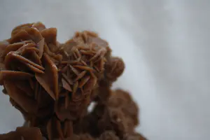 Niet of onleesbaar gesigneerd - Seleniet Marroko/Afrika kopen? Bied vanaf 1!