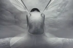 Dariusz Klimczak - 'Night Fly' (2011) - GRATIS VERZENDING kopen? Bied vanaf 70!