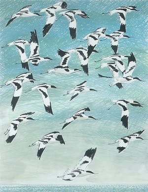 Joost Minnigh - Litho, Boven zee - Ingelijst kopen? Bied vanaf 1!