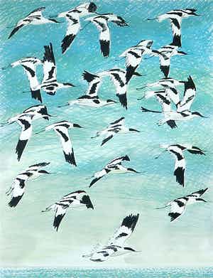 Joost Minnigh - Litho, Boven zee - Ingelijst verkocht voor € 1!