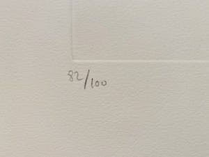 Leonor Fini - La Sorcière sur le Balai kopen? Bied vanaf 35!