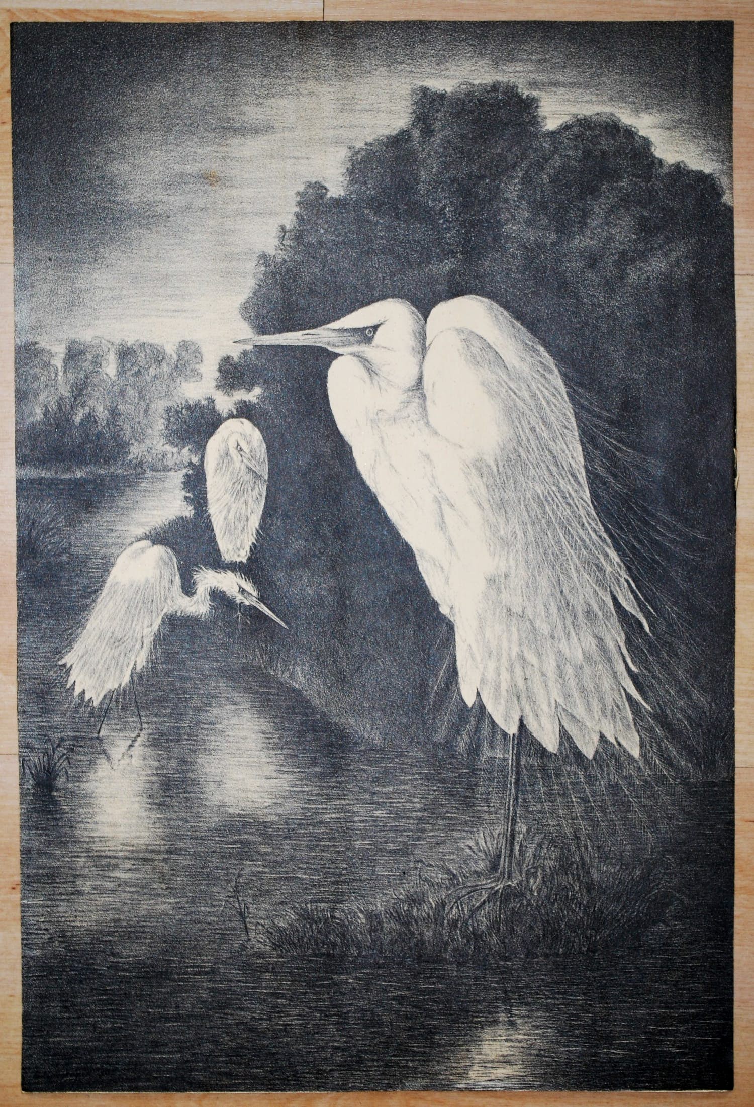 Niet of onleesbaar gesigneerd - art deco reigers - litho 1930 verkocht voor € 10!