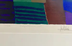 Ton Schulten - Voorjaarsbomen kopen? Bied vanaf 250!