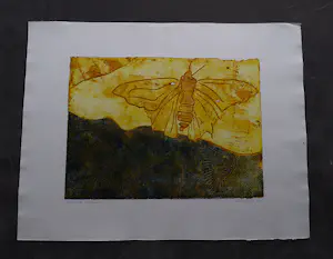 Hans Buining - in zeer kleine oplage (20) gemaakte Ets & Aquatint "Vlinder in travertin" kopen? Bied vanaf 26!