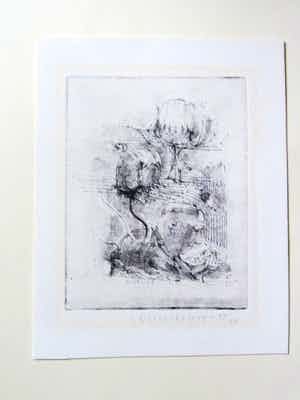 Co Westerik - Ets (koper) Botaniker kleine oplage 1965 verkocht voor € 170!