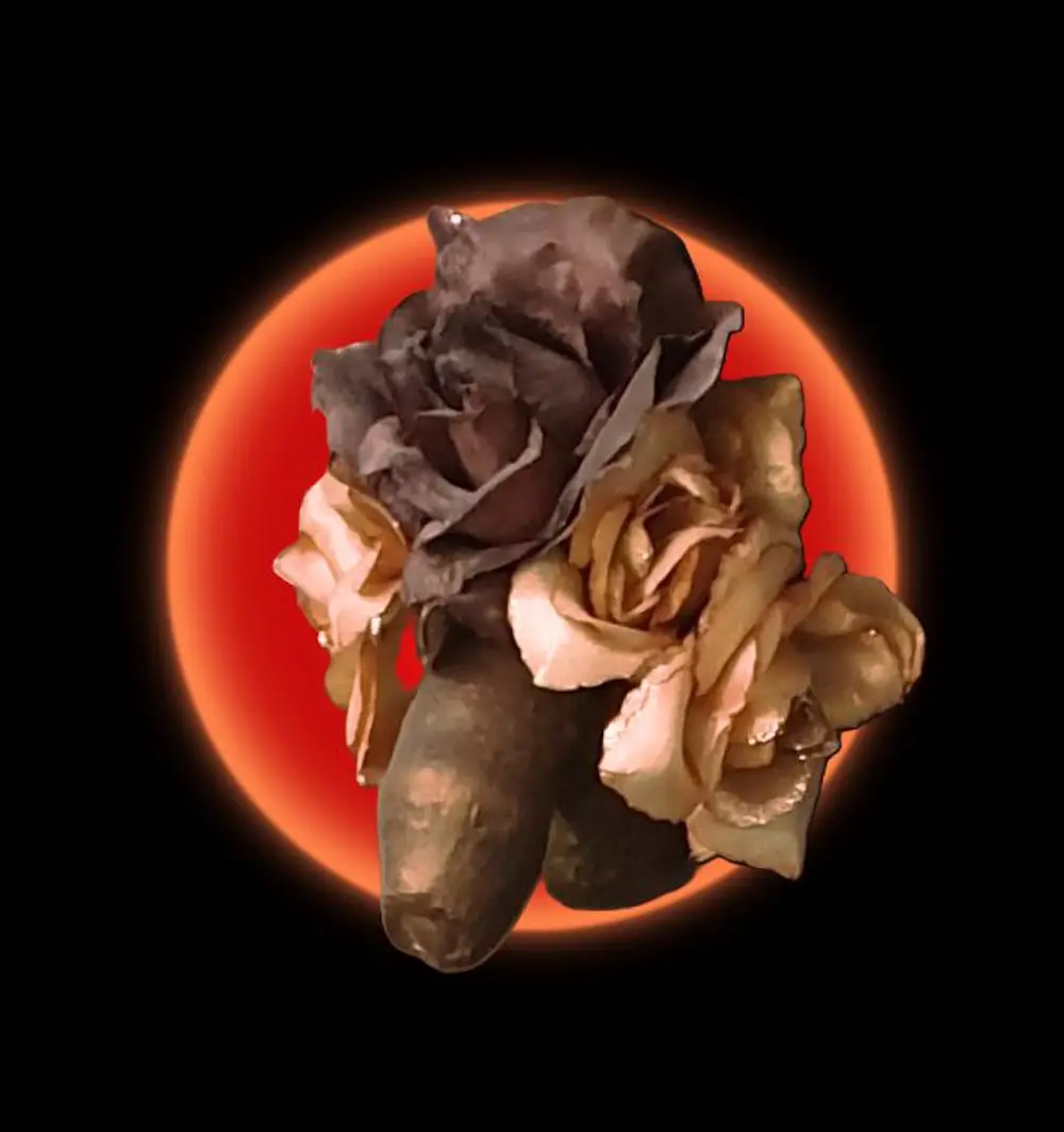 Nanda van Alebeek (1948)