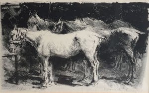 Jan Groenestein - C4889-2, Paarden in een stal kopen? Bied vanaf 75!