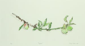 Tineke Vulto - Litho, Kybele - Ingelijst kopen? Bied vanaf 35!