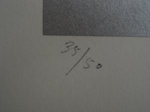 Rob Schotman - Intrigerend jaren 60 PoP Art Litho - variaties op een cirkel - gesigneerd kopen? Bied vanaf 10!