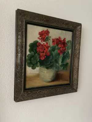 Lien Straver - Geraniums in pot kopen? Bied vanaf 90!
