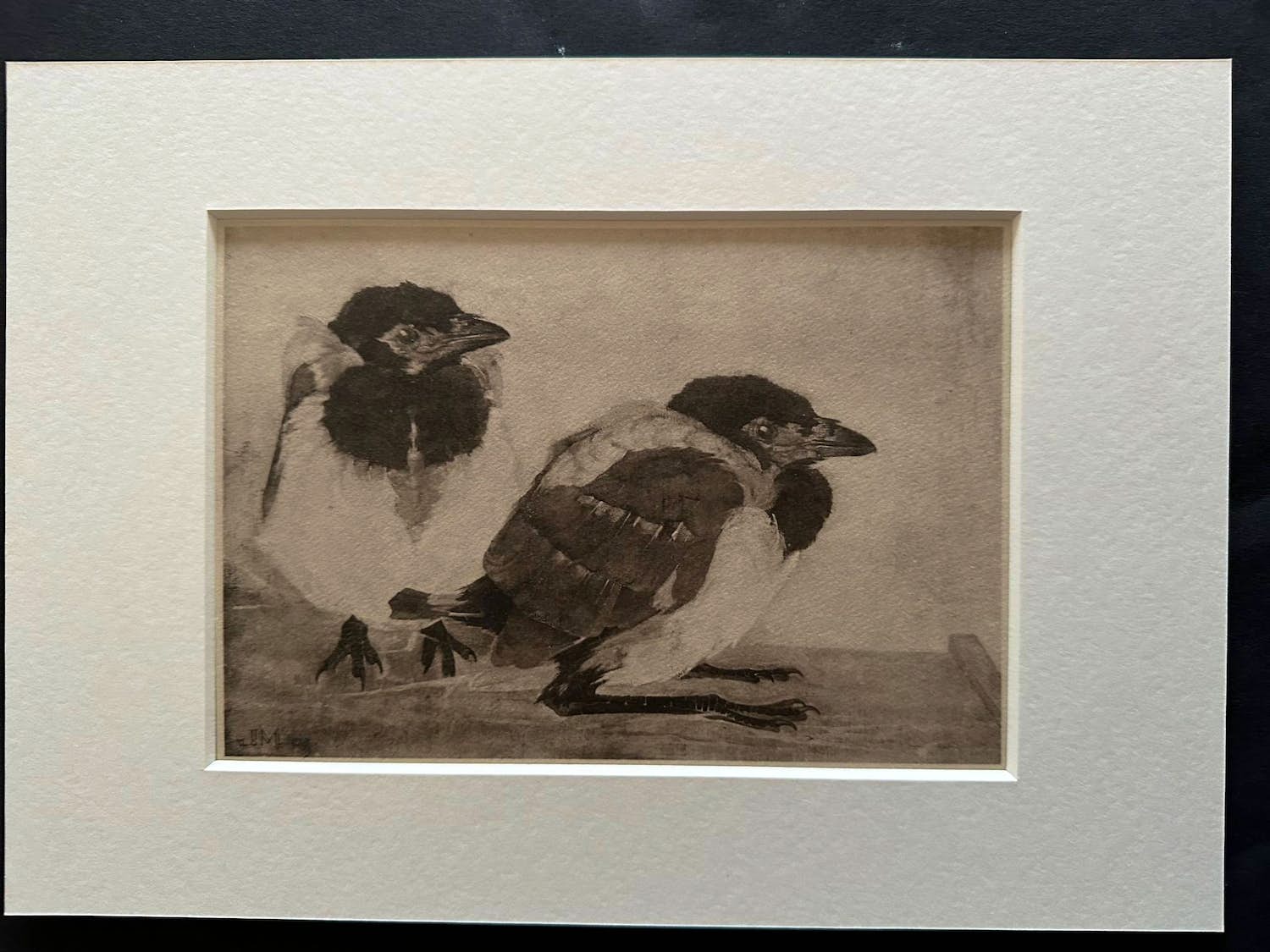 Jan Mankes - Heliogravure " Jonge eksters " kopen? Bied vanaf 125!