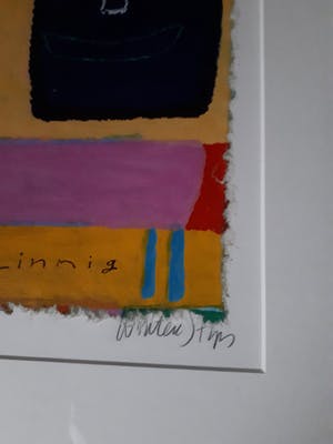 Wouter Stips - Eigenzinnig - ingelijst kopen? Bied vanaf 40!