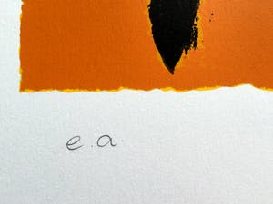 Saskia Bremer - Surprise kopen? Bied vanaf 45!